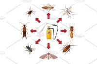 Professional Pest Control Melbourne image 8